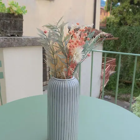 Larionest Modern In The Center 5 Min From The Station Hotel apartamentowy Mandello del Lario